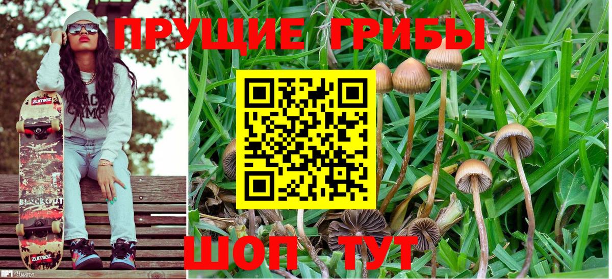 Галлюциногенные грибы MAGIC MUSHROOMS Котлас