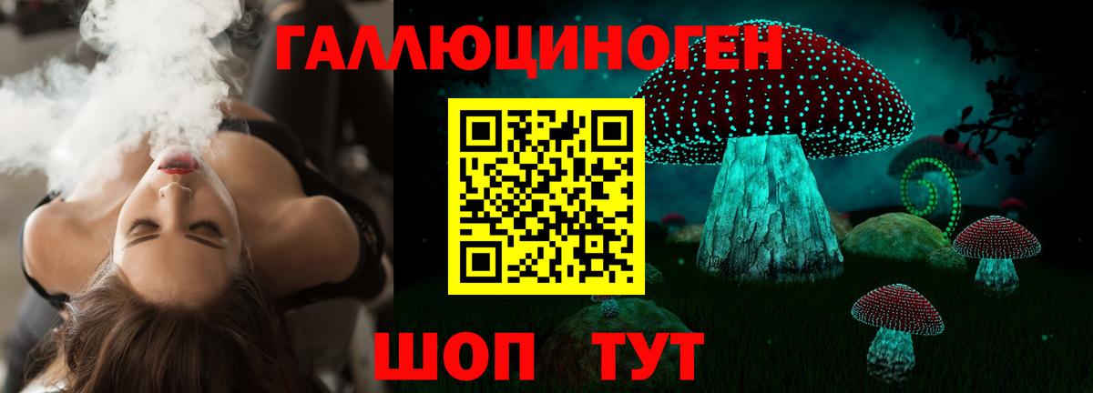 Псилоцибиновые грибы Cubensis  Галлюциногенные грибы мицелий  Вход с VPN  Котлас 